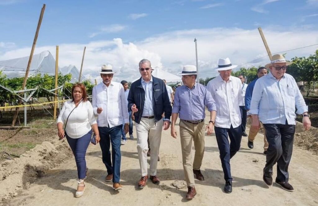 Grupo de personas caminando por un campo.