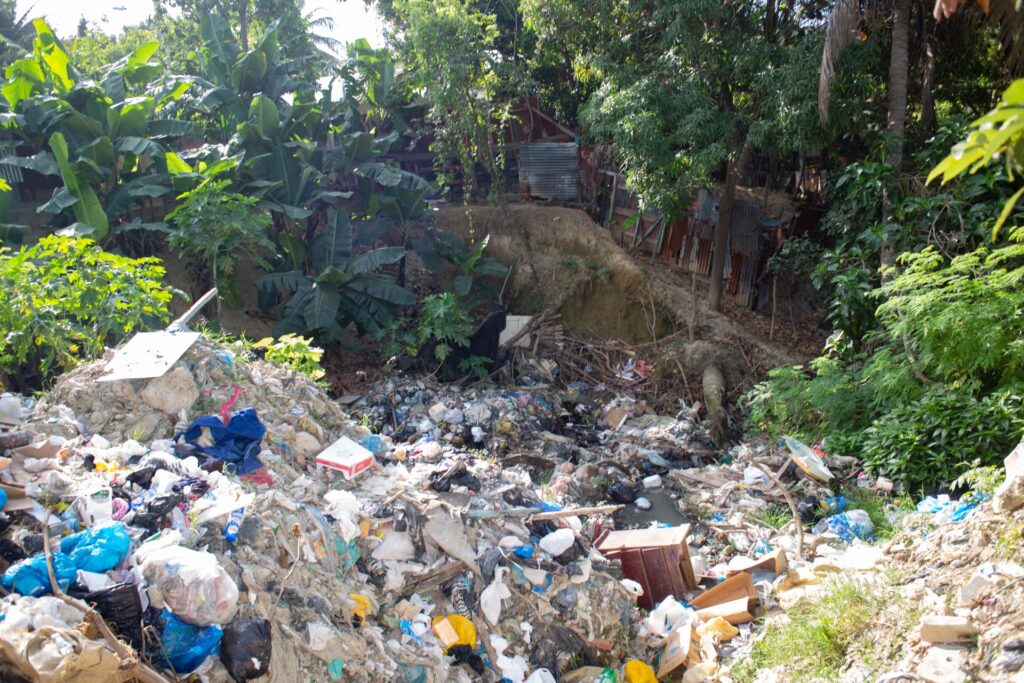 Basura acumulada en zona boscosa.