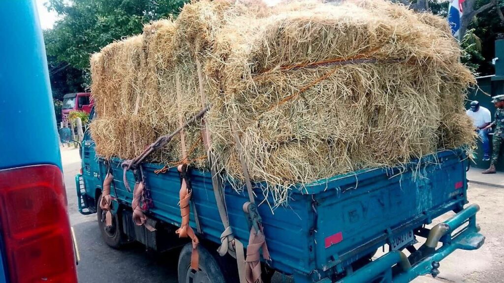 Camión azul cargado de paja en la carretera.