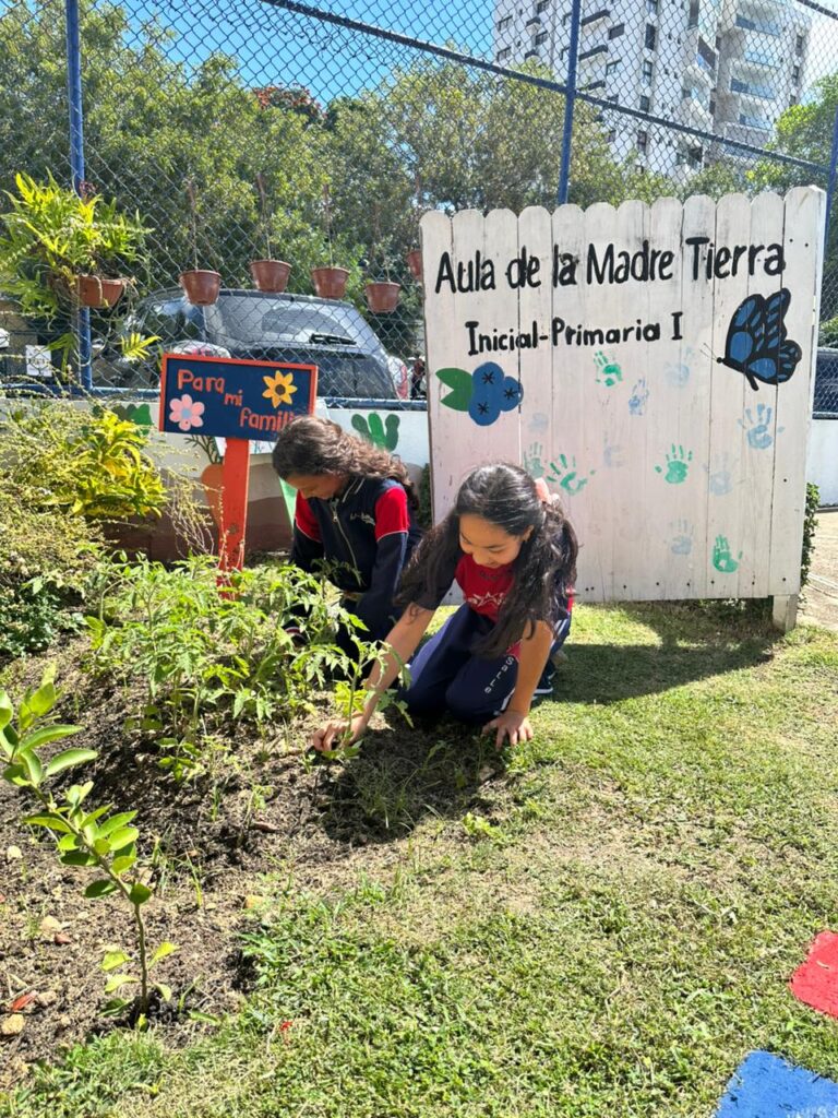 Niñas plantando en jardín escolar al aire libre.