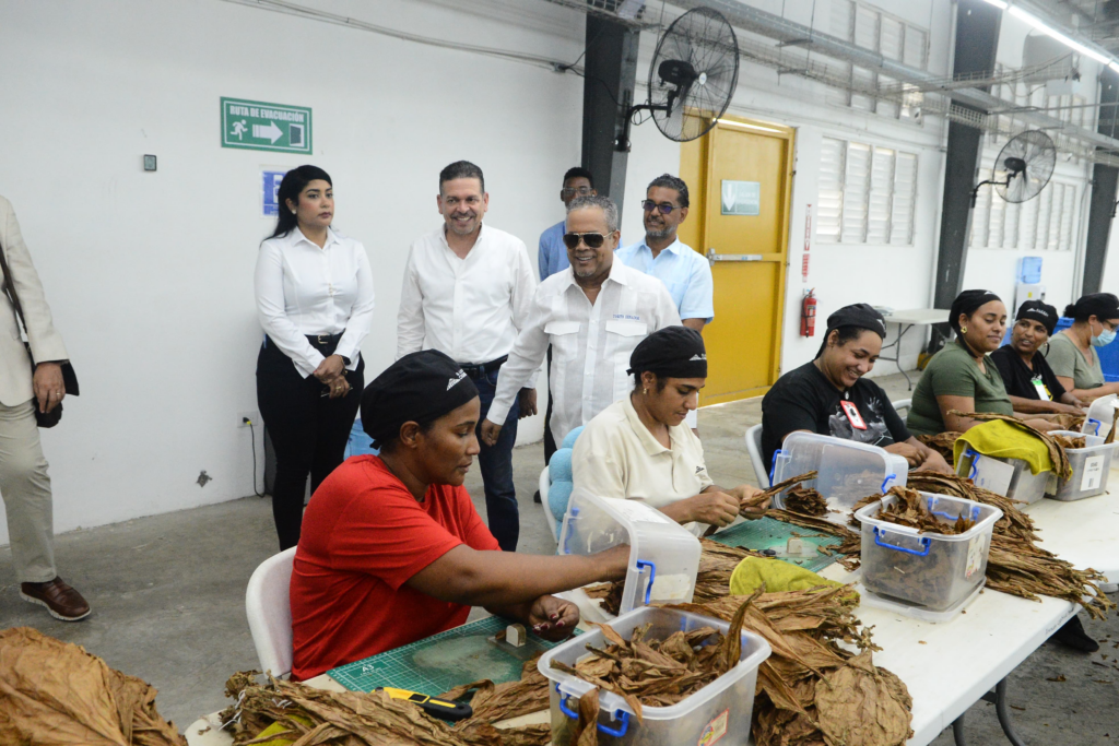 Trabajadores en fábrica procesando hojas de tabaco.